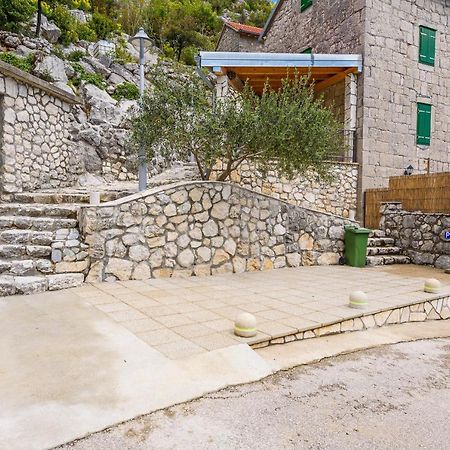 Villa Lazini Dvori Stasevica Eksteriør bilde