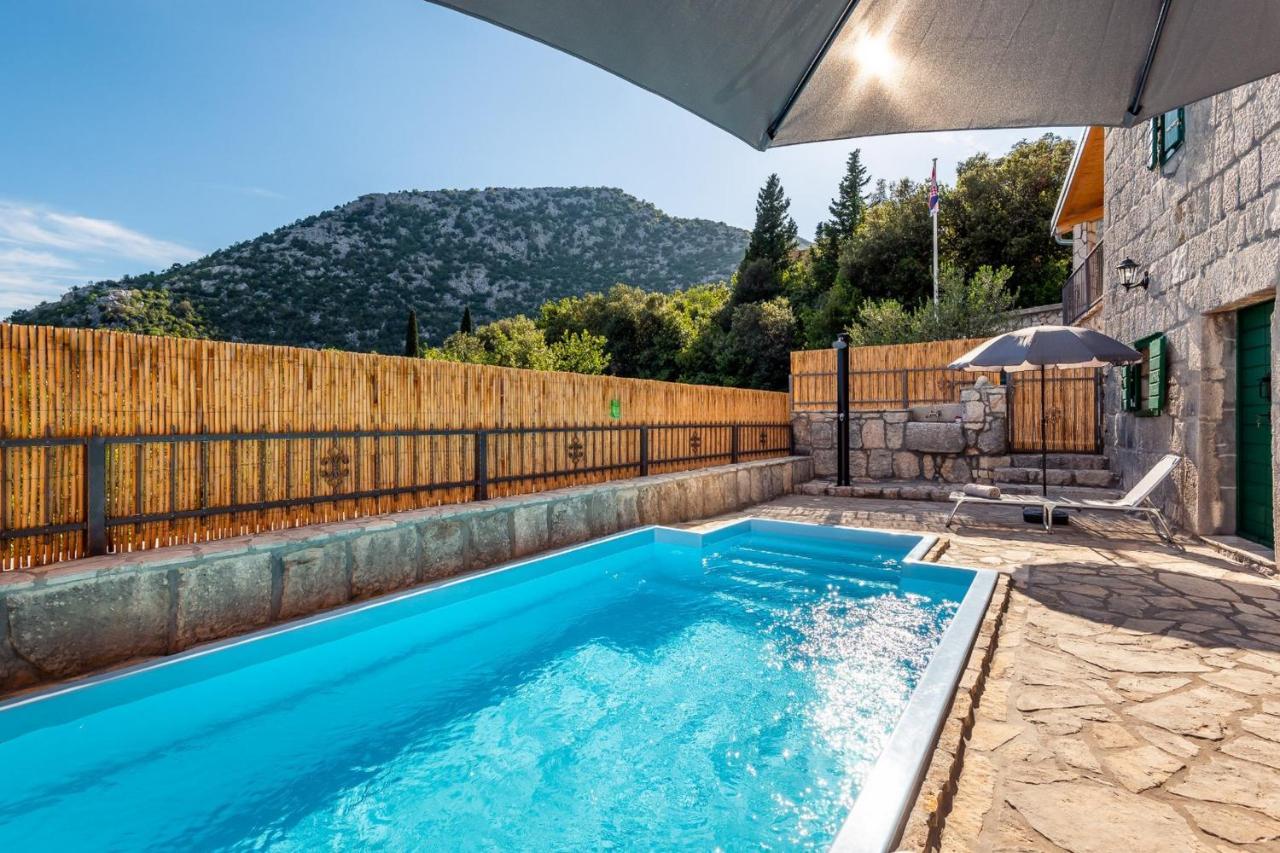 Villa Lazini Dvori Stasevica Eksteriør bilde