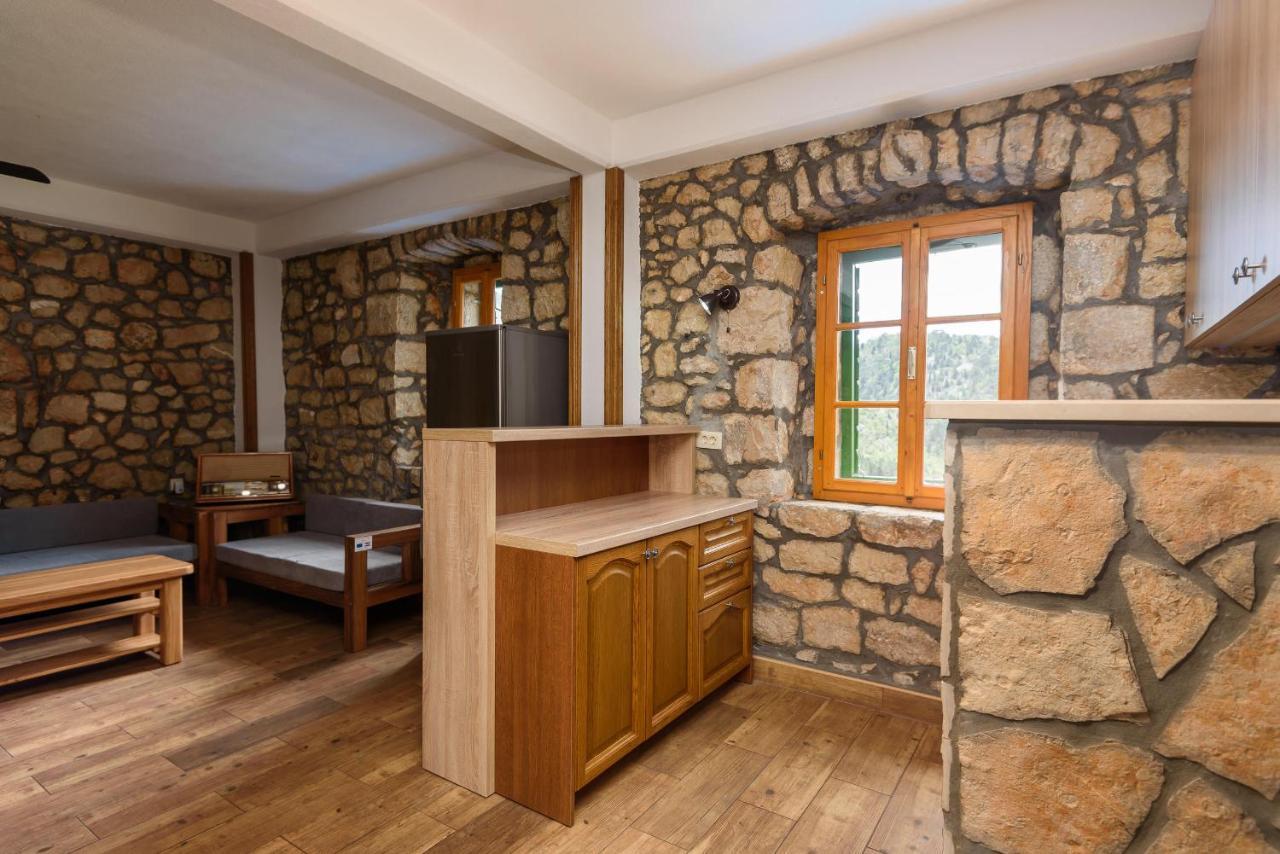 Villa Lazini Dvori Stasevica Eksteriør bilde